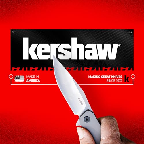 Kershaw Leek Pocket Knife, 3" 14C28N Stainless Steel Drop Point Blade, Spring Assisted Knife, Folding EDC