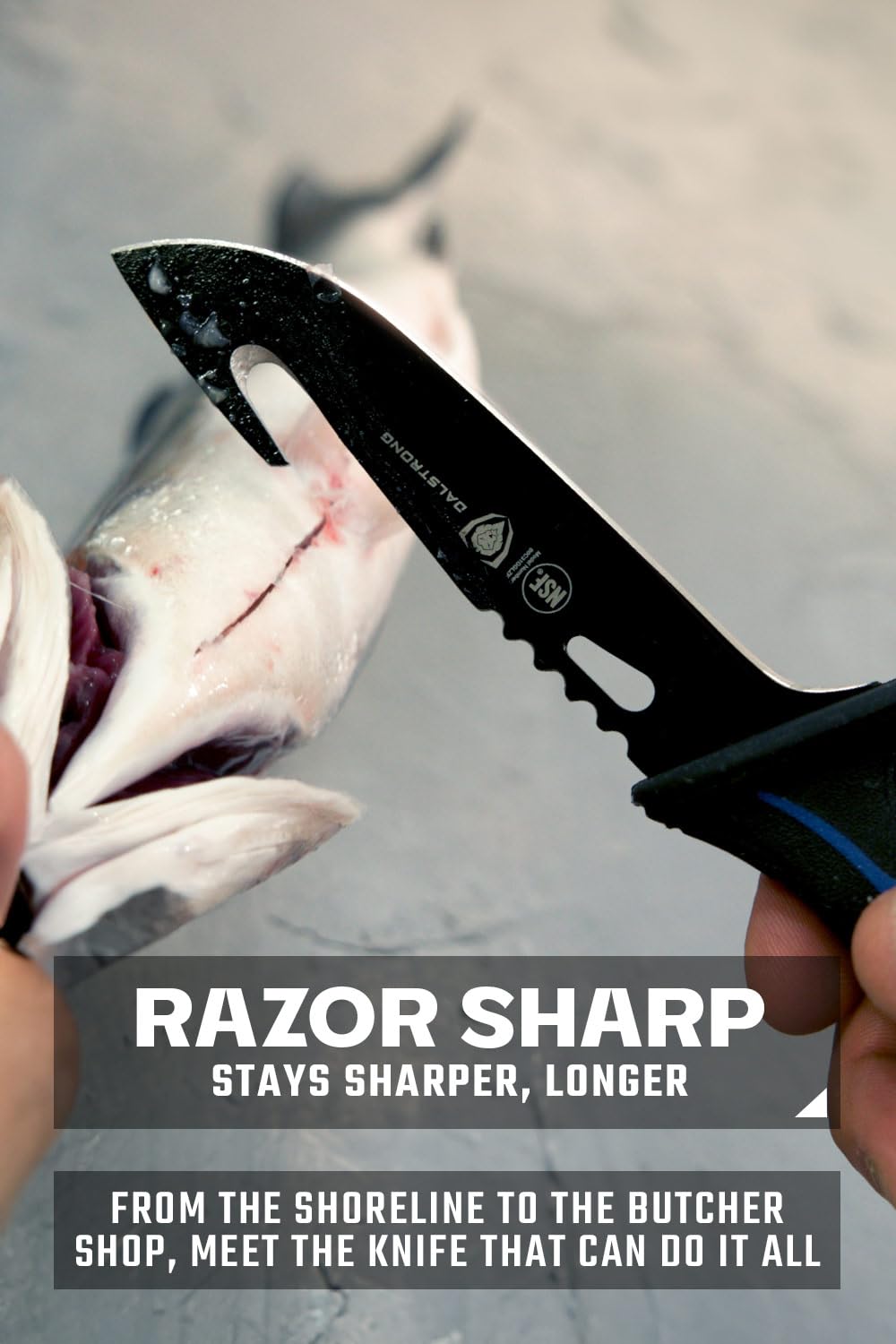 Dalstrong Slicing Knife - 12 inch - Night Shark Series - 7CR17MOV High Carbon Steel - Titanium Coated Blade - Outdoor & Fishing - Polypropylene Handle - Carving Knife - Nylon Sheath - NSF Certified