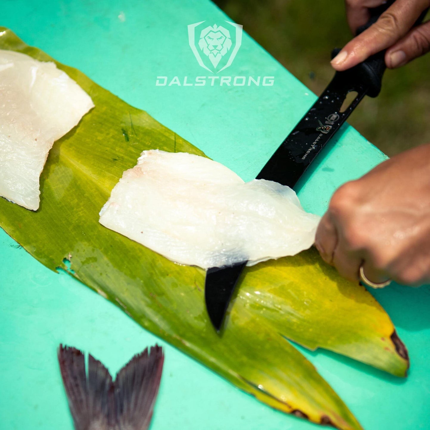 Dalstrong Slicing Knife - 12 inch - Night Shark Series - 7CR17MOV High Carbon Steel - Titanium Coated Blade - Outdoor & Fishing - Polypropylene Handle - Carving Knife - Nylon Sheath - NSF Certified